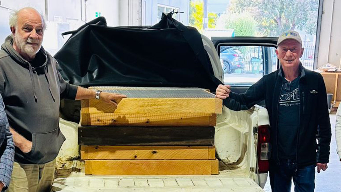 Eco Centre – Plant Protectors for Penguins