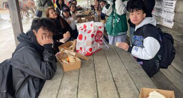 CPC50220 building and construction course